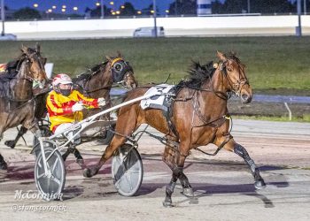 Great lead as The Pantheist takes grip on Crown