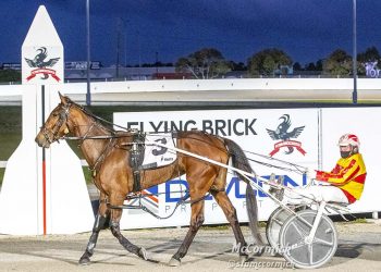 Pantheist poised for Triple Crown title