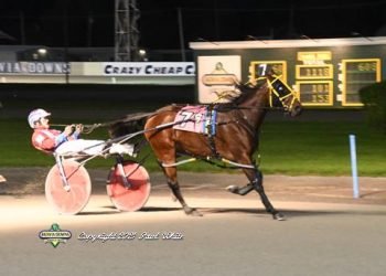 Kiwi mare loves racing at Batavia Downs