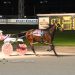 Kiwi mare loves racing at Batavia Downs