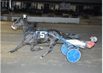 Co-features to Credit List, Warrawee Unique