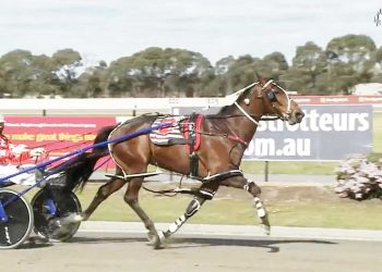 Willie Go West’s Cup triumph