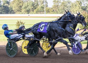 Rivalry roles reversed in $500,000 Tattersalls