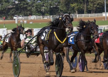 Allerage winners post world records