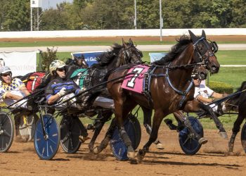 Branded By Lindy on top in International Stallion Stakes