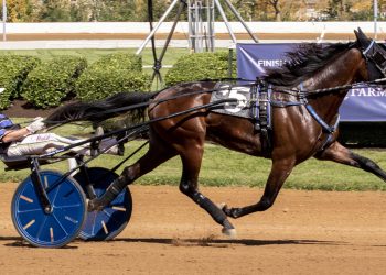 Colts in Bluegrass divisions at Red Mile