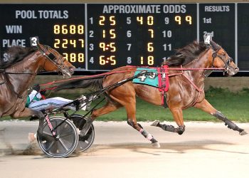 Track records set in Ohio Sires Stakes consolations