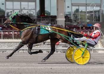 Top trot easy pickings for Donatover