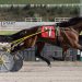 Frankly My Dear zooms by in feature trot