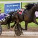 Herculisa named Ohio 3YO Trotting Filly of the Year