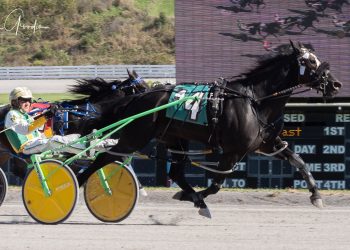 Mike Wilder continues winning ways