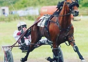 Son of ‘Beach’ for Queensland