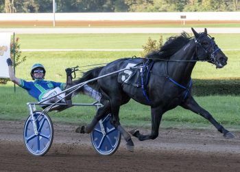 Creatine colt crushes in $561,000 Kentucky Futurity