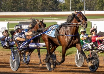 Supplement successful for Filly Futurity winner