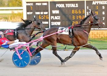 Kiss Of Terror runs his win streak to eight