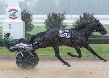 Long shots rule in Bluegrass colt trots