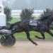 Long shots rule in Bluegrass colt trots