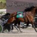 Upset in Meadows feature trot