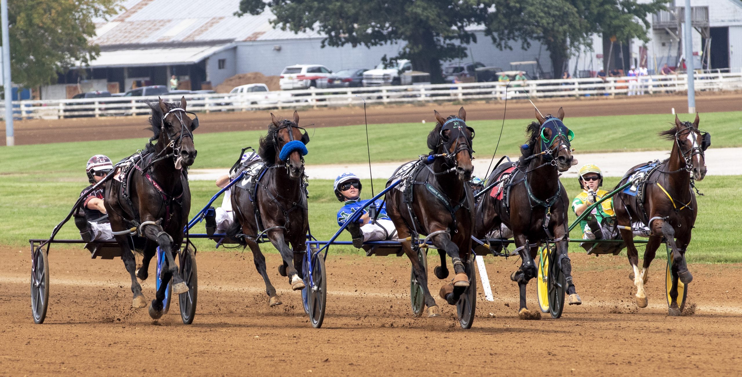 Young trotters lower marks at Harrah’s Philly - Harnesslink