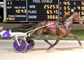 Ocean Rock crushes them in the pacing Derby
