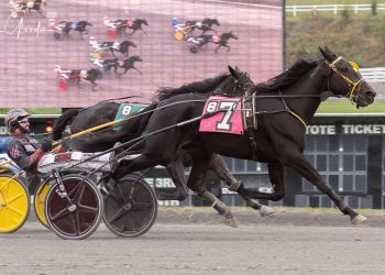 No ‘luck’ needed in Open Handicap Trot