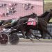 No ‘luck’ needed in Open Handicap Trot