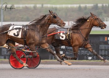 Former claimer continues to improve