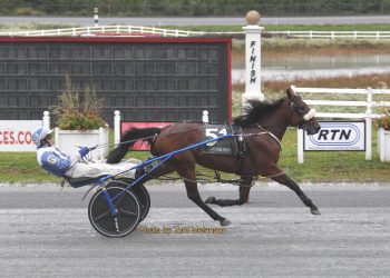 MASS hat trick for Nick Graffam