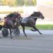Team Athearn sweeps top trots