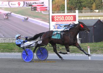 Surreal Syrah back in the win column