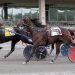 Rainbowinthewest returns victorious after layoff