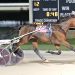 Dayton trotting records fall by the wayside 2 Dayton trotting records fall by the wayside