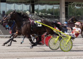 Pocket-rocket triumph in Meadows co-feature