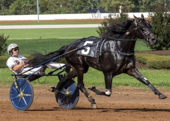 Branded By Lindy on top in International Stallion Stakes