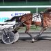 Two-year-olds in nine Breeders Crown elims
