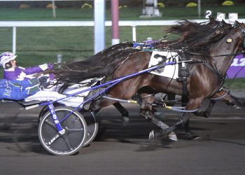 Plenty of Breeders Crown contenders among 2YO pacers