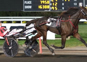 Trotters seek stardom in Friday’s Crown finals