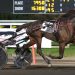 Trotters seek stardom in Friday’s Crown finals