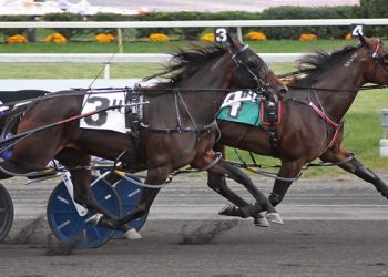 Rocknificent beats Lyon Sentinel in Breeders Crown elim