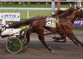 This Is The Plan beats stablemate in BC elim