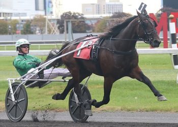 Minors upsets in 3YO Colt Trot Breeders Crown elims