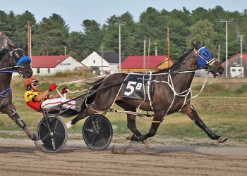 Southwind Terror resumes reign Tuesday