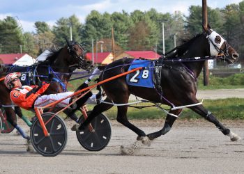 Big brush gets Airpinder 12th win this year