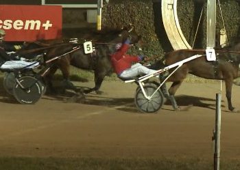 Szahadkai DIJ Stake goes to Zante Font