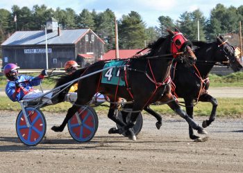 Driver wins half of the race program
