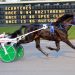 Anders Bluestone foals dominate in DSBF