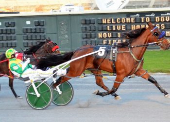 DSBF 2YO filly pace elim action at Dover