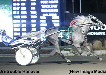 Harvest Series Finals a sweep for Roy