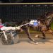 Six figures for trotting mare on OnGait.com 2 Morairtime handles sloppy oval