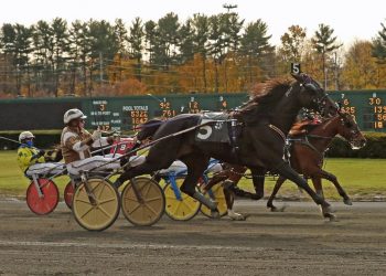 AHDC Trot won in final strides
